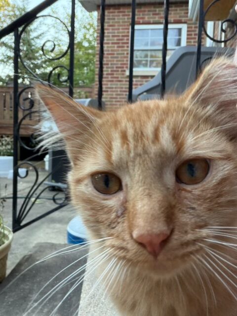 Charlie